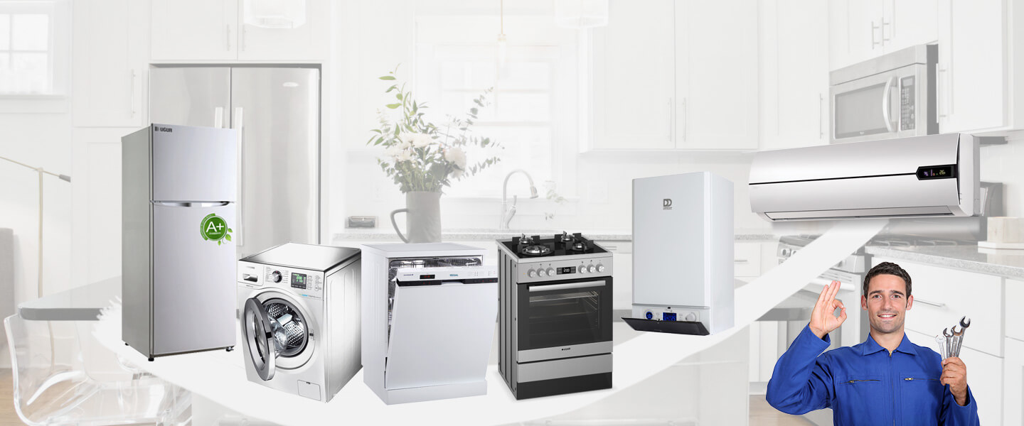 Buharkent Warmhaus Servisi